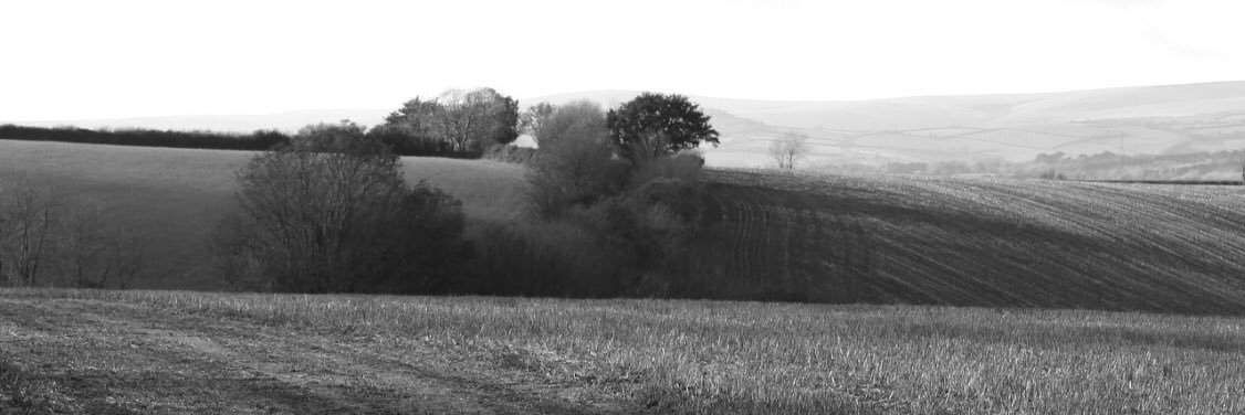 fieldstudioA's profile banner image