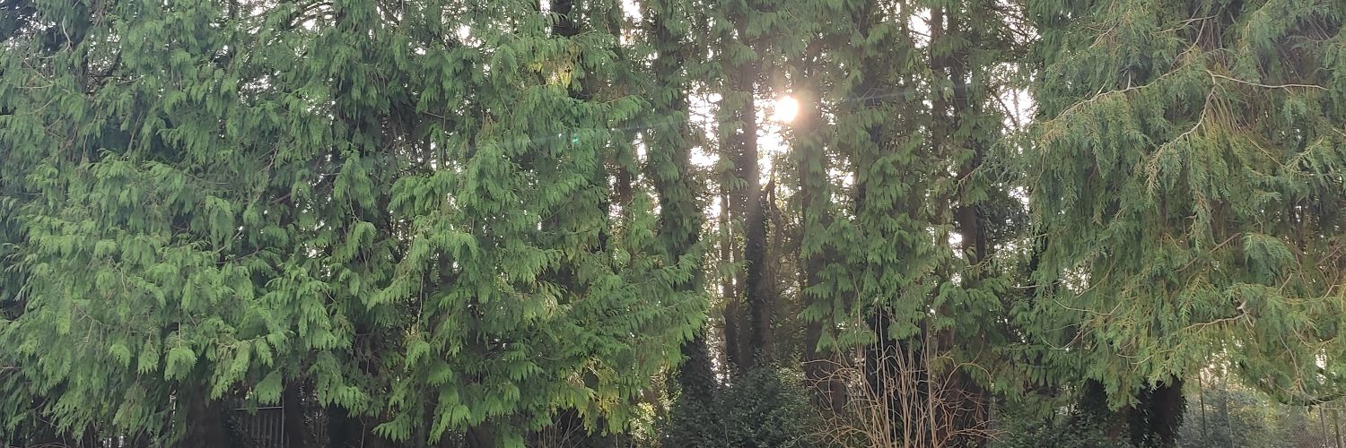 NeumanMalena's profile banner image