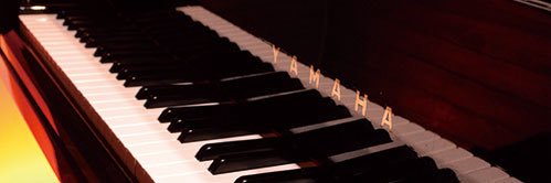 paracafe21's profile banner image