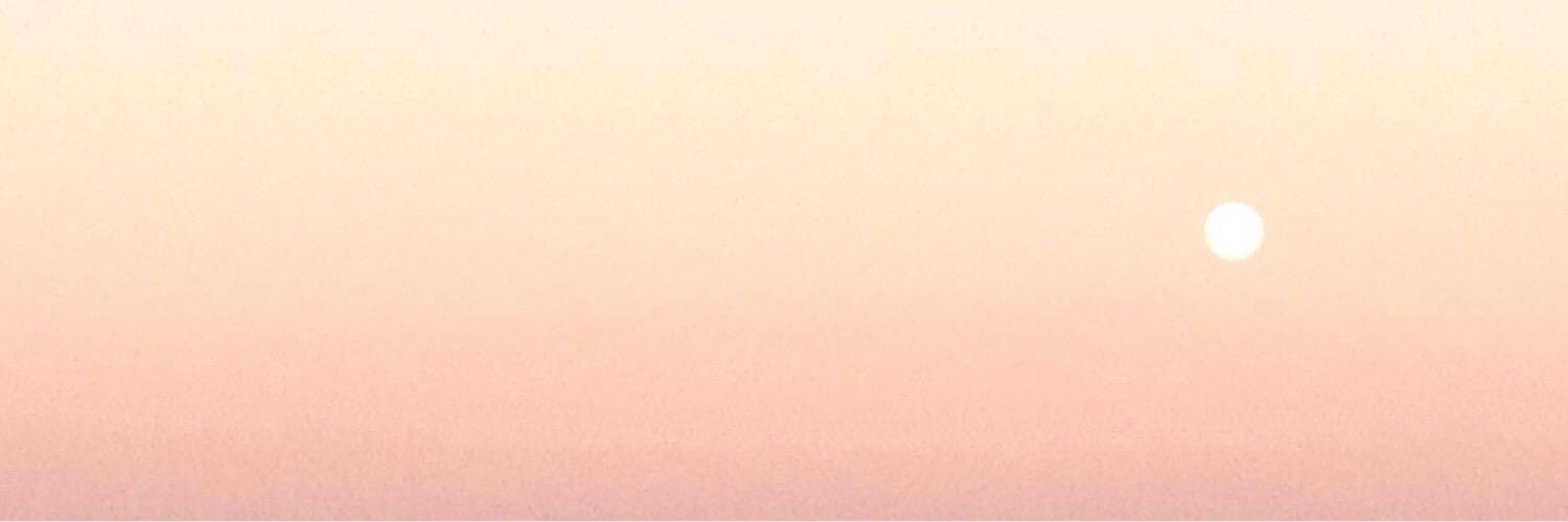 Selena banner