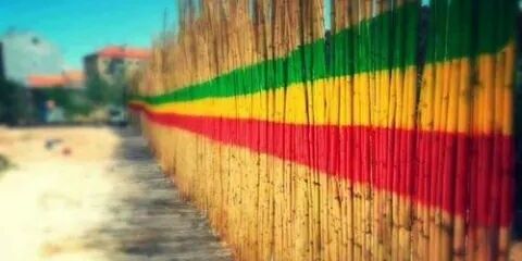 RosyG23's profile banner image
