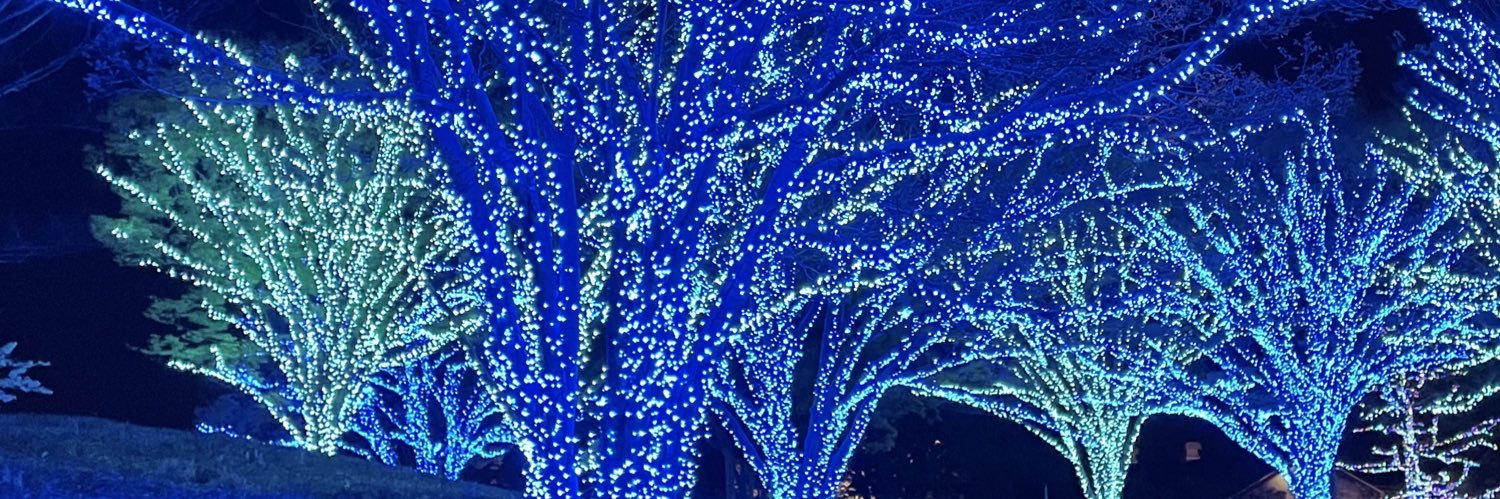 snowy_00's profile banner image