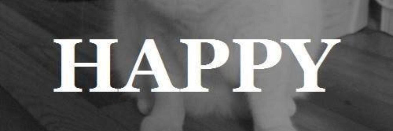 NO__AA's profile banner image