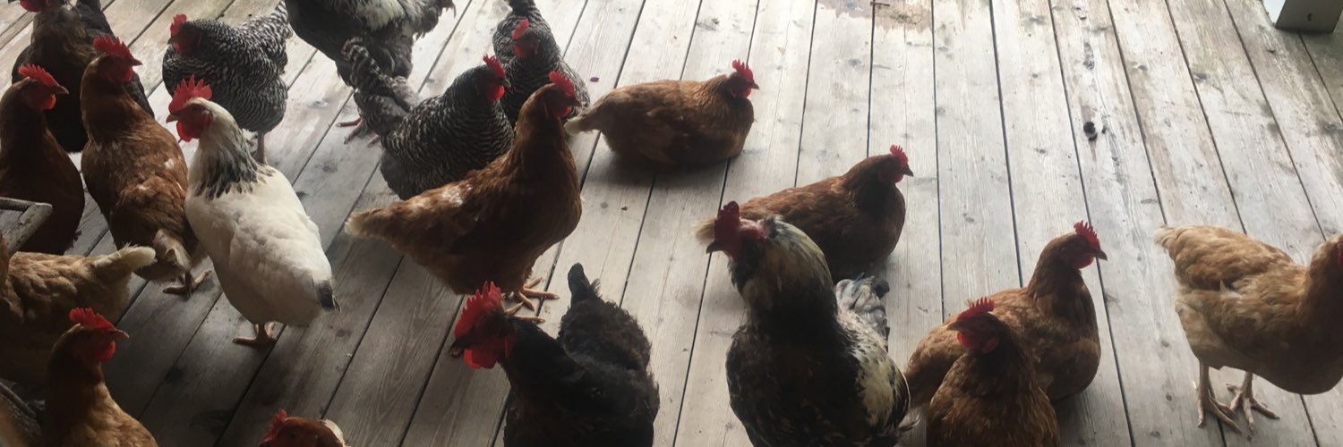 rowlandacres's profile banner image