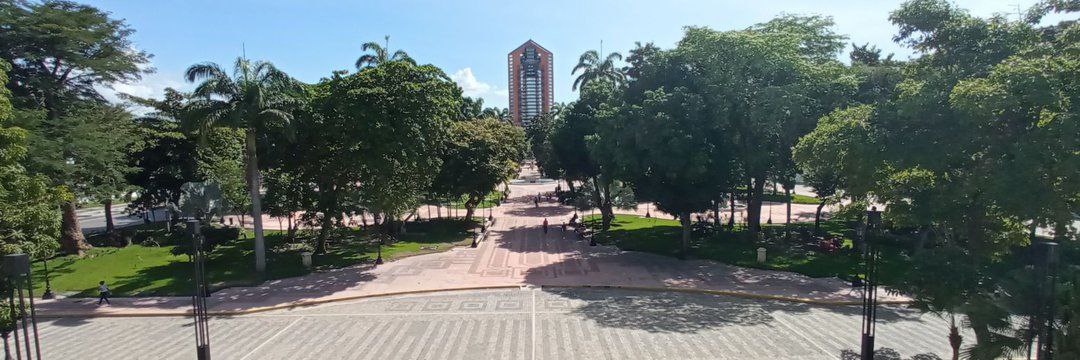 manuelsojo's profile banner image