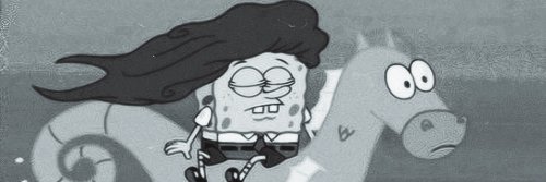 KNeusch4's profile banner image