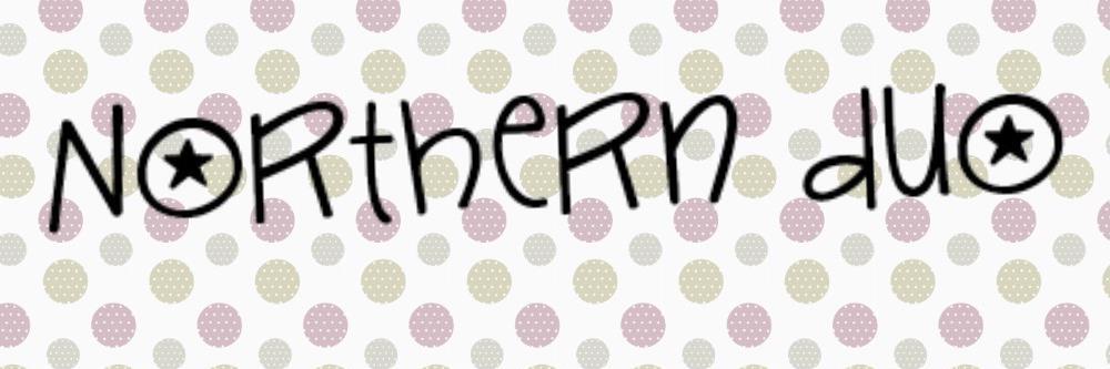 NorthernDuo_'s profile banner image