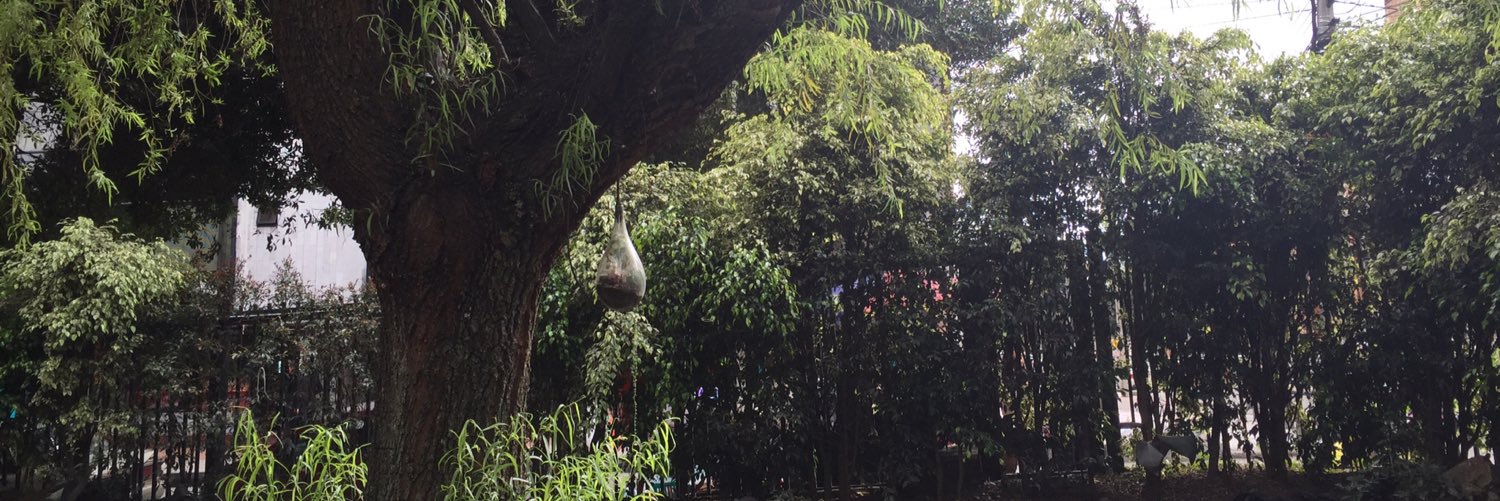 Marginalizacion's profile banner image