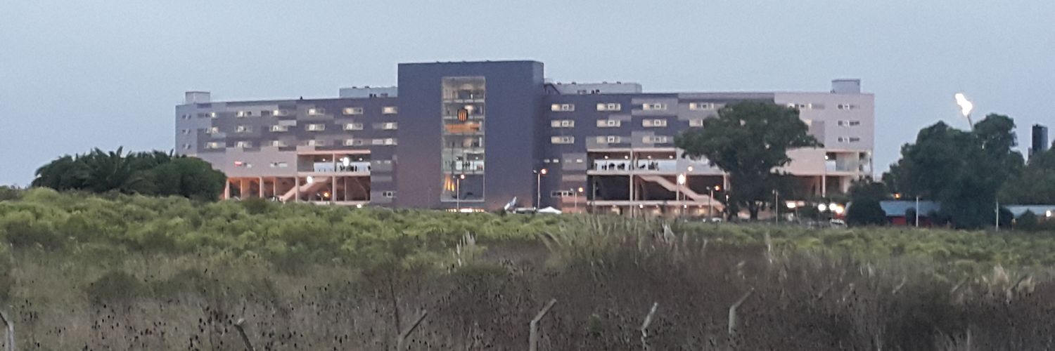 Willi Martinez banner