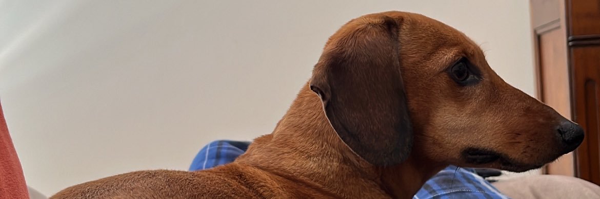 MigueLR9914's profile banner image