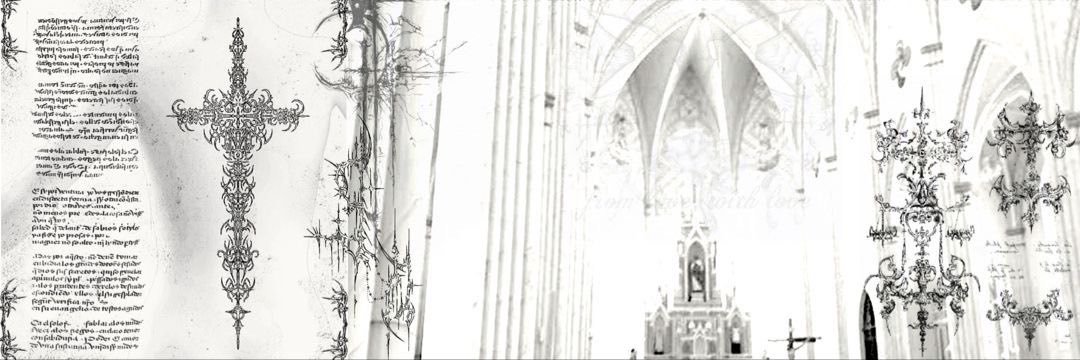 darcamor's profile banner image