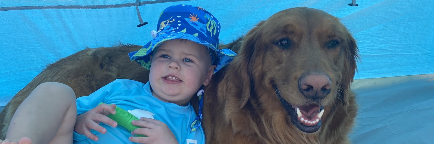 Stephanie Wittman banner