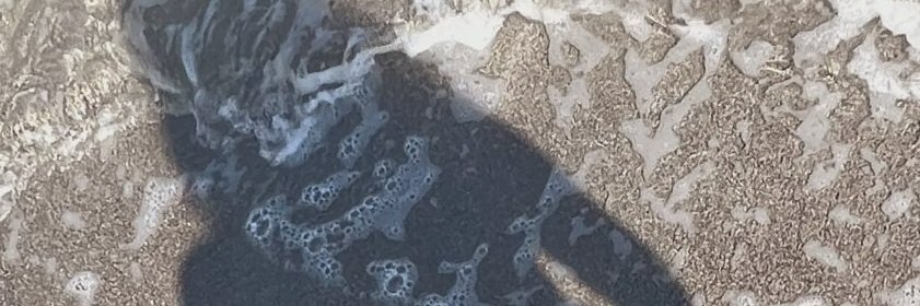 WecsDavid's profile banner image