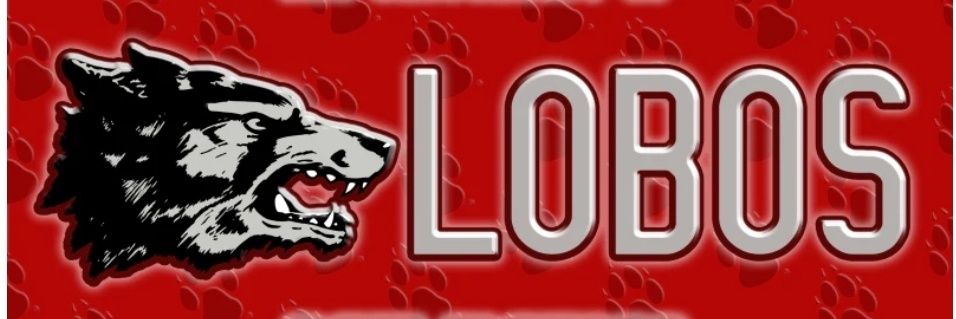 pitrat0911's profile banner image