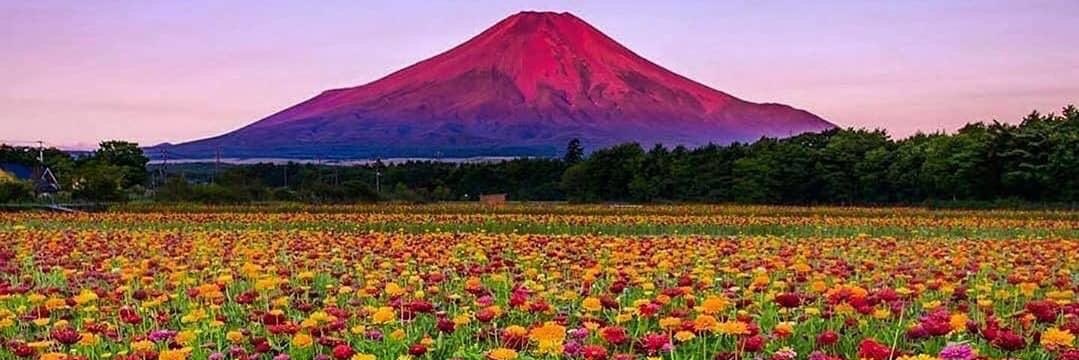 زهوووور الررريف🇧🇭❤ banner