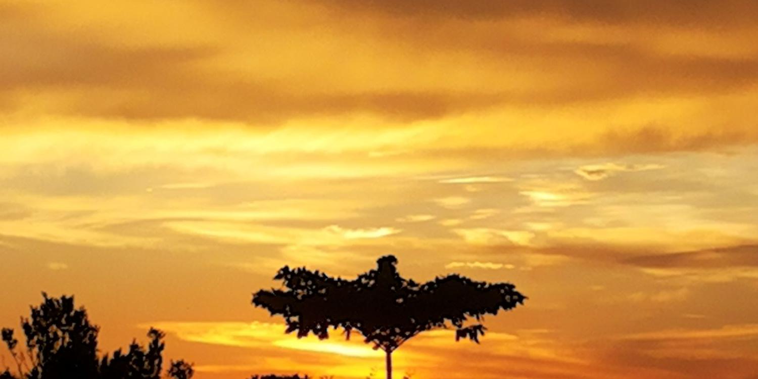 gapg_'s profile banner image