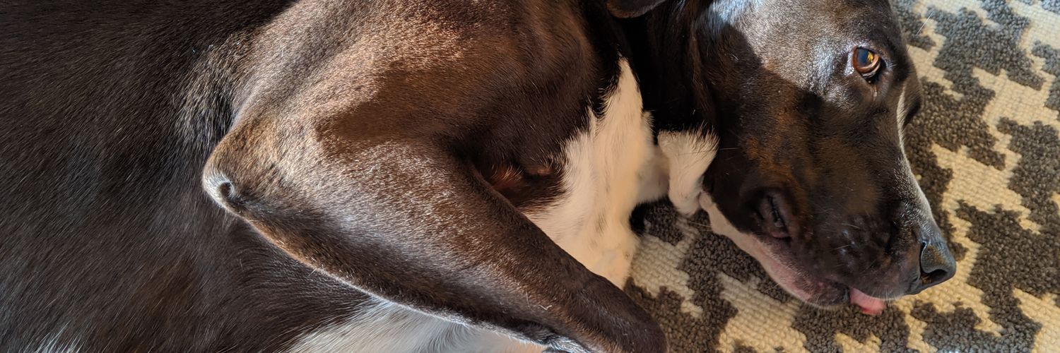 FletchyLives's profile banner image