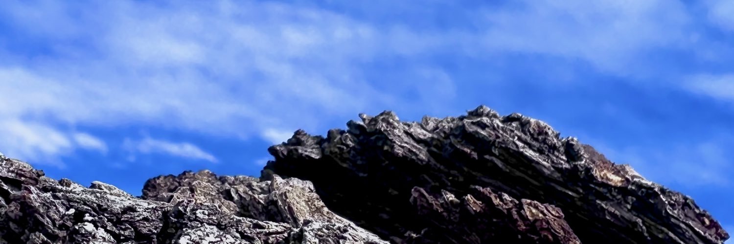 dylan banner