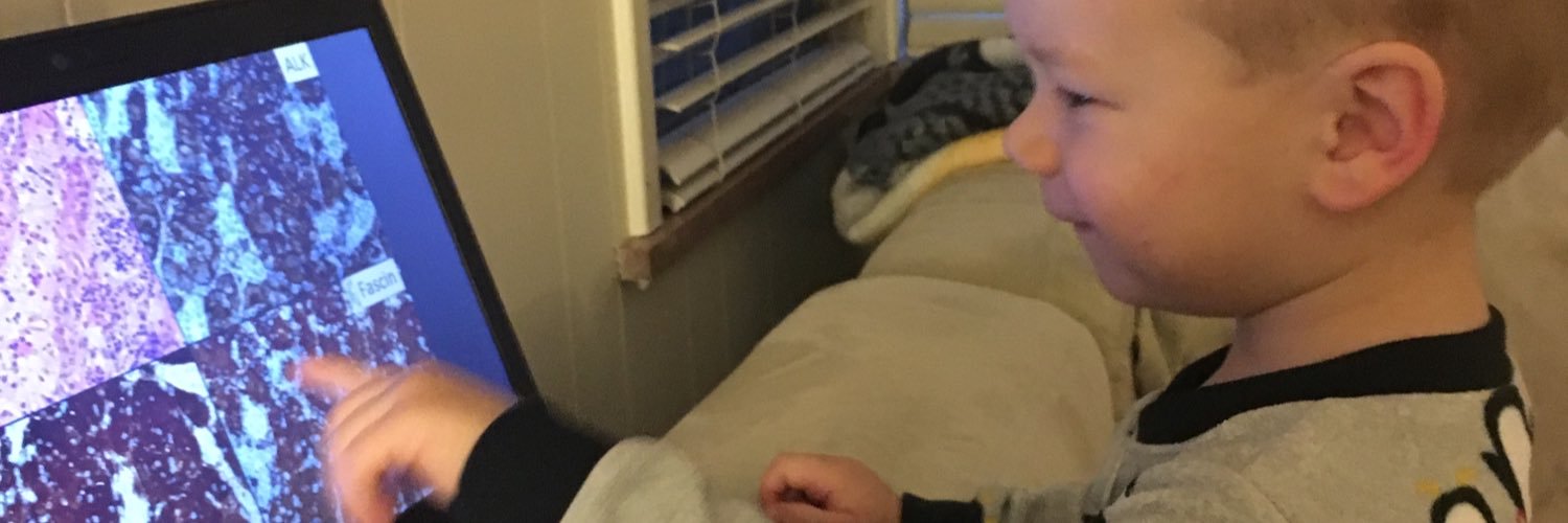 Jennifer Picarsic banner