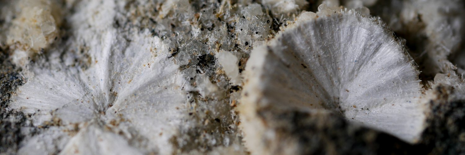 Museo Ciencias Naturales UZ banner