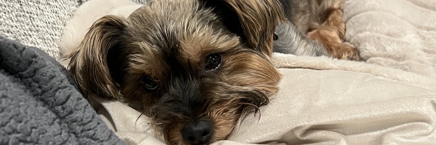 danachatman00's profile banner image