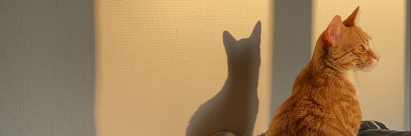 leakempf's profile banner image