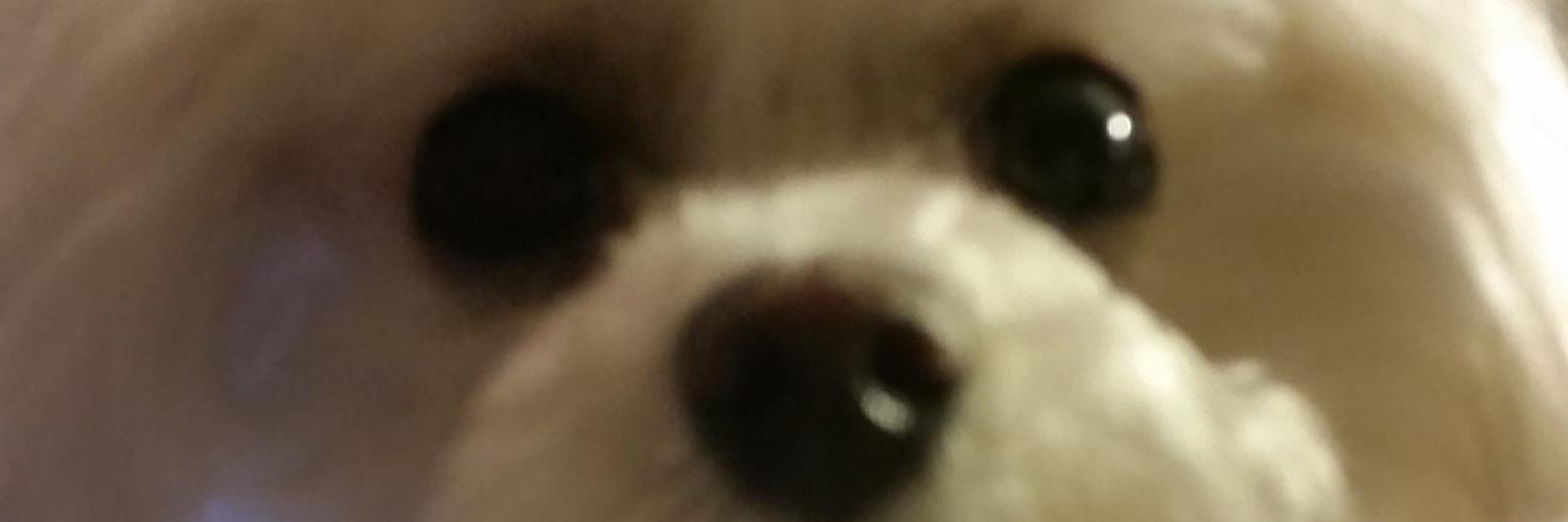 koj2000's profile banner image