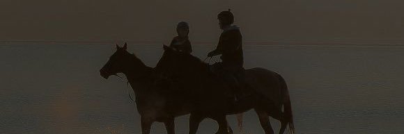 WS_118's profile banner image