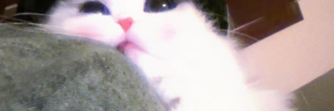 pejcher's profile banner image