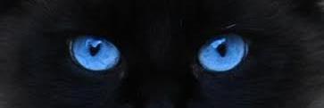 Nicolò 🛡️ 🇷🇺🇨🇳 banner
