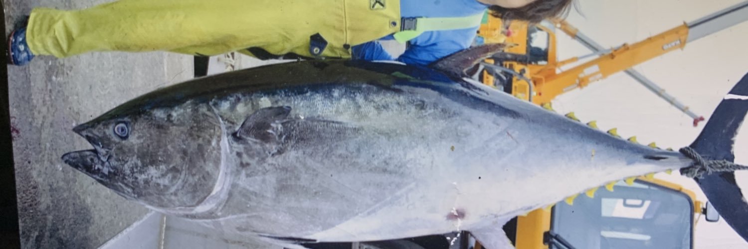 どんどんっ banner