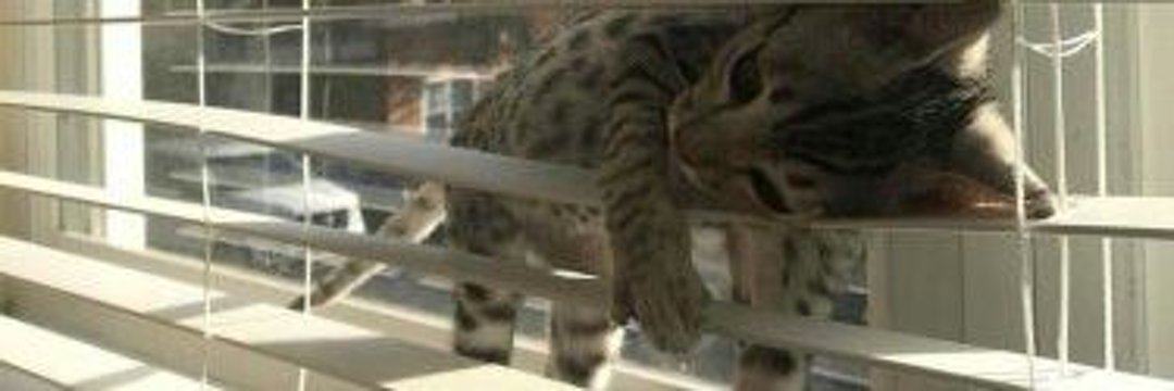 PARKJlHOQN's profile banner image