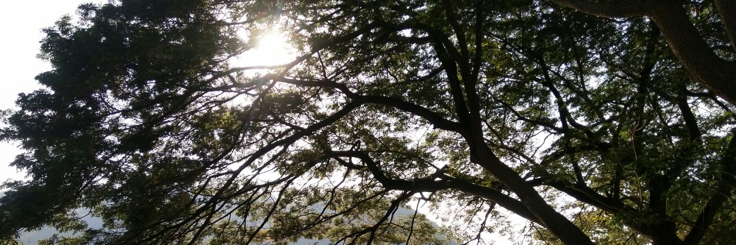 Vivid_MiA's profile banner image