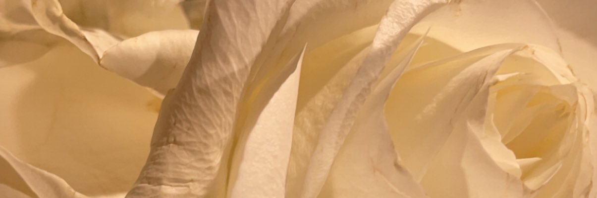 khvtera's profile banner image