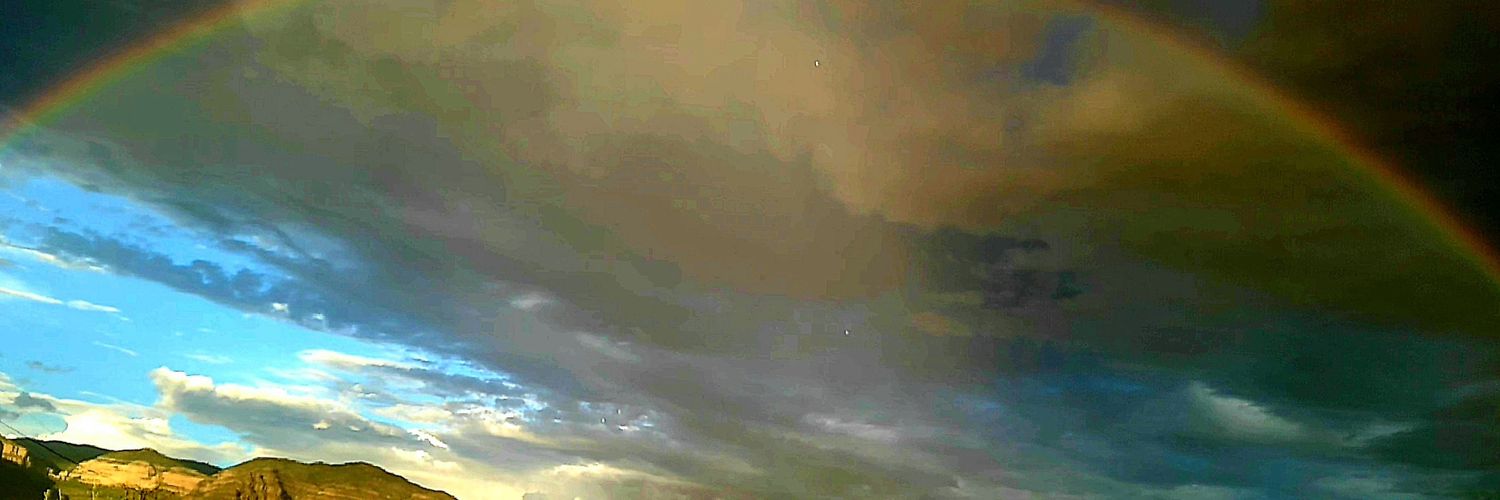 DaffyKimba's profile banner image