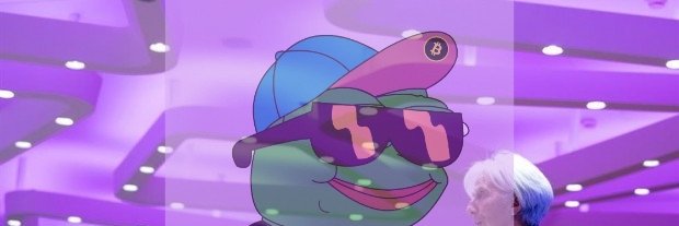 rtBayer's profile banner image