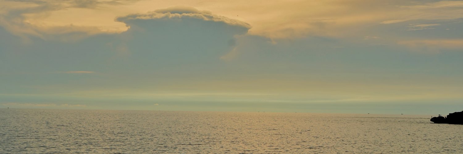 insentient_0943's profile banner image