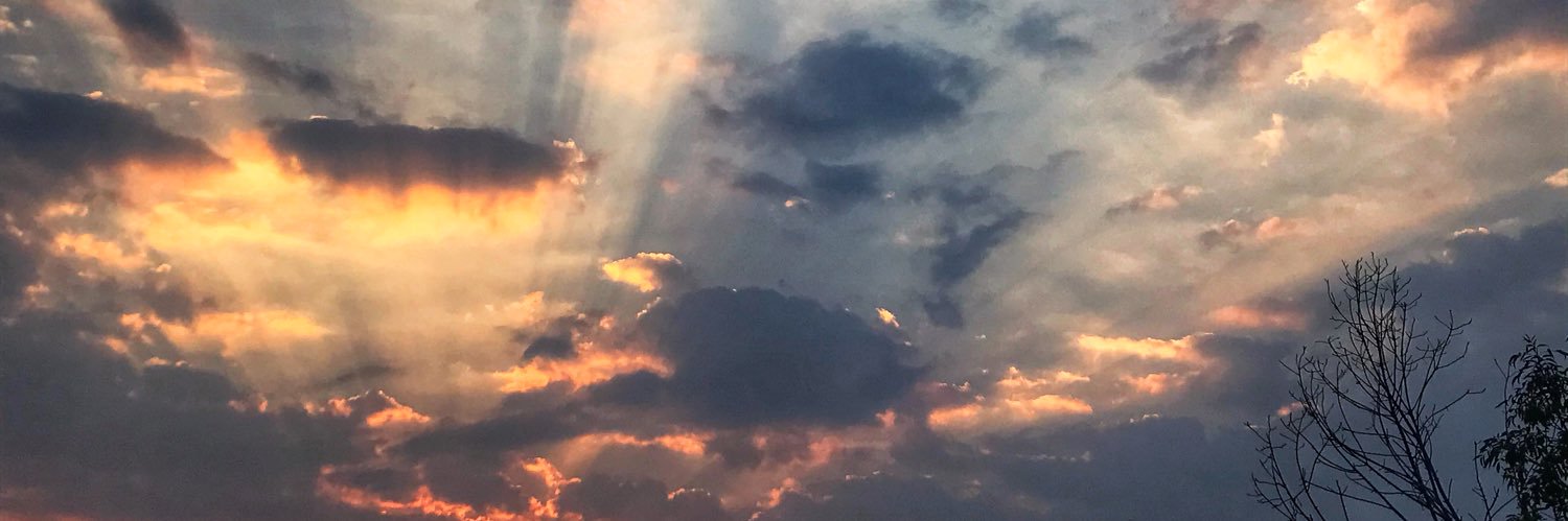 engardrs's profile banner image