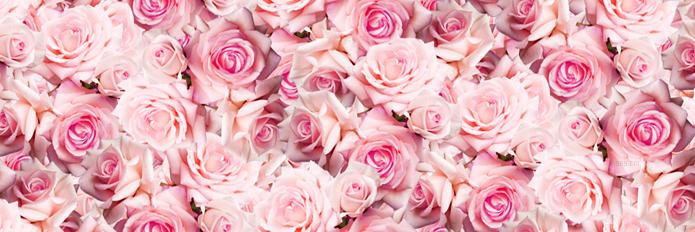 EstelleLogon's profile banner image