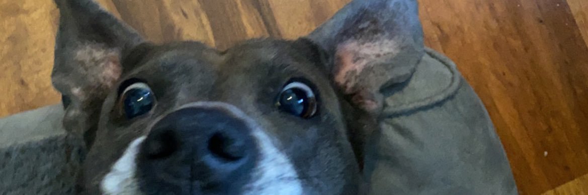 DefNotPeterJ's profile banner image