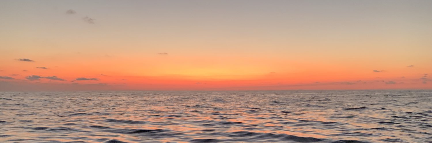 BranceSchepper's profile banner image
