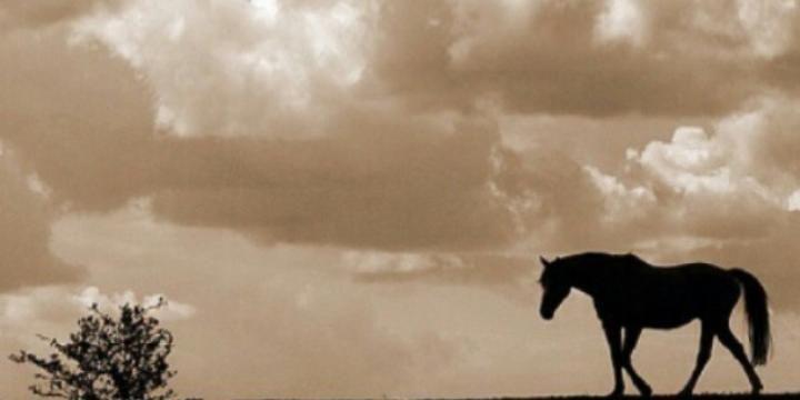 hehdhh81's profile banner image