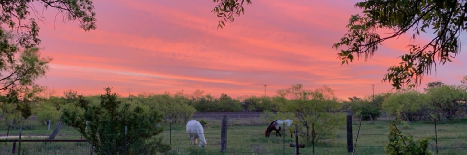 haley_barnett_'s profile banner image