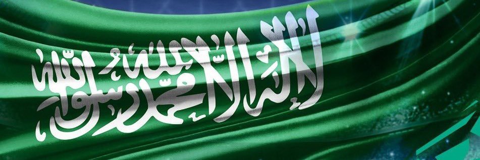 Alaa I Elite ✨✨ banner