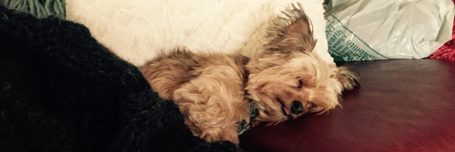 Britt Enright-Blount banner