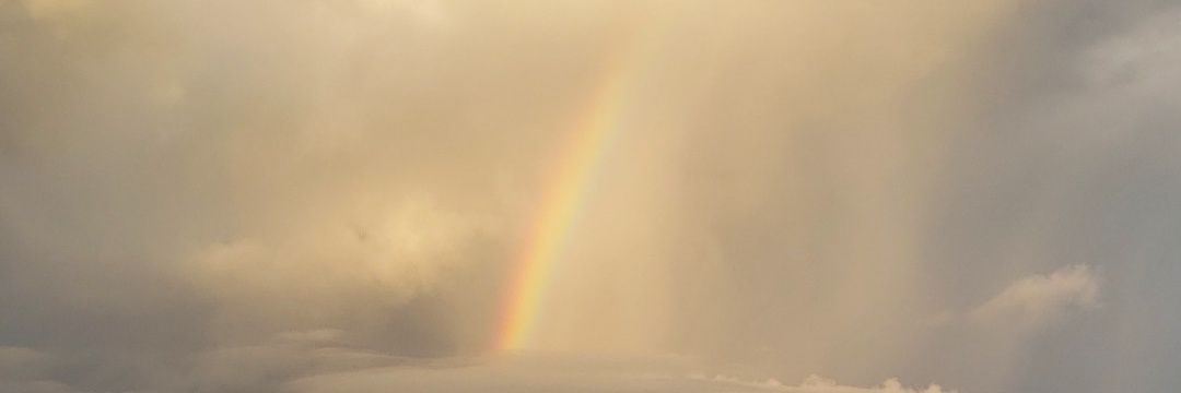 clausula_'s profile banner image