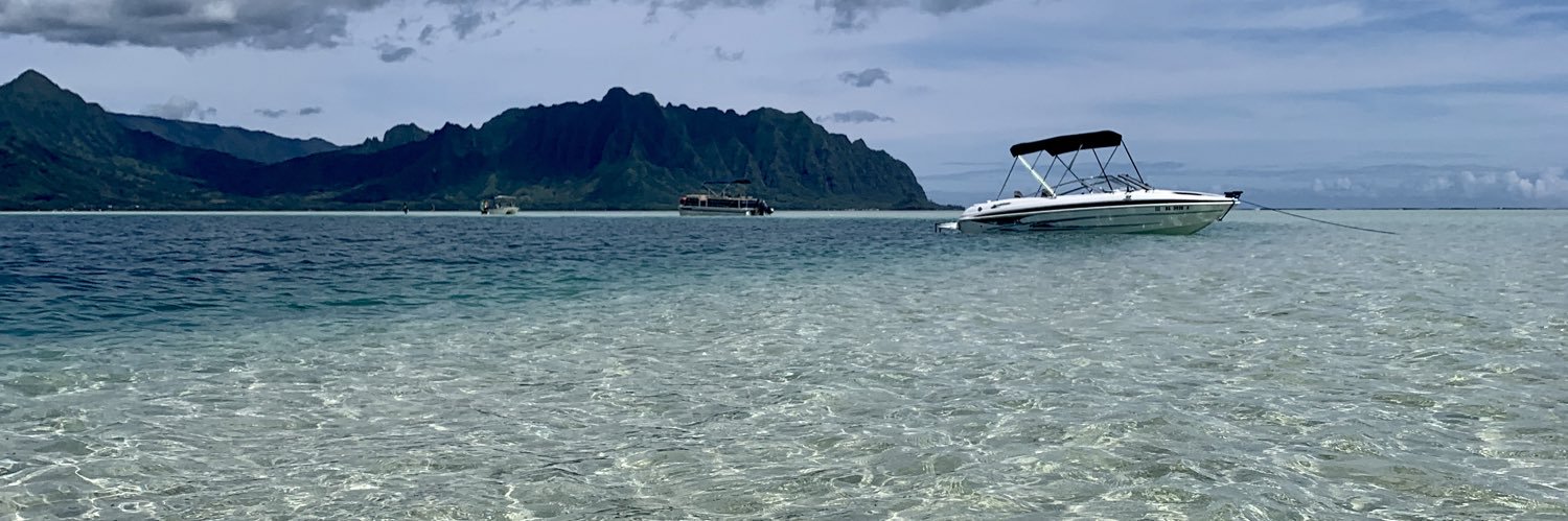 maliaaleaga's profile banner image