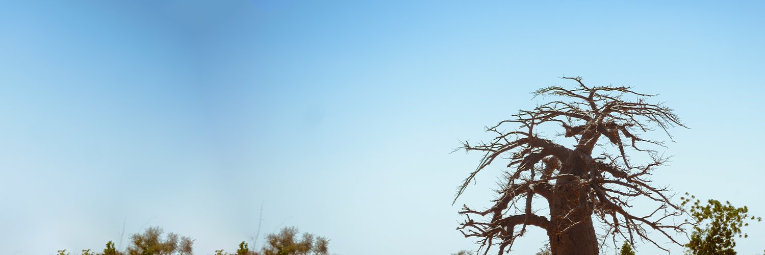 2bpare's profile banner image