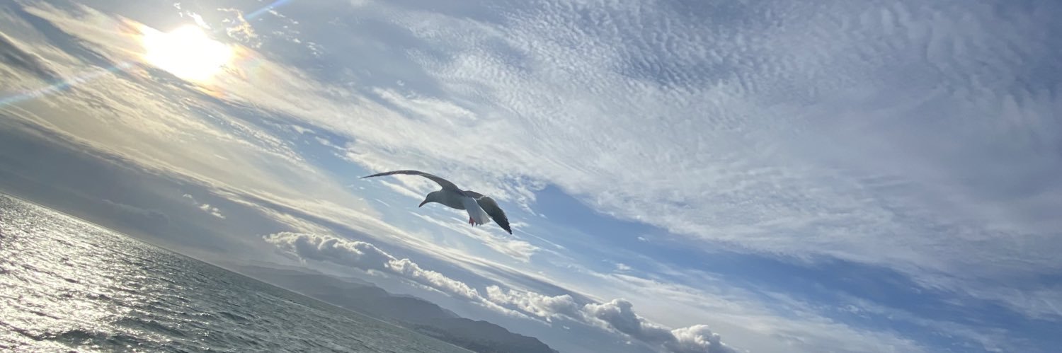 _____adaXO's profile banner image
