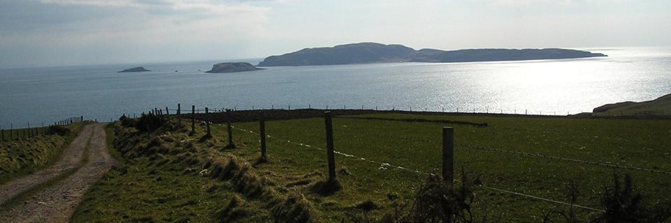 Iain Johnston banner